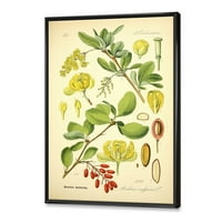 Дизајн на „Антички растителен живот II“ Традиционално врамено платно wallидна уметност печатење
