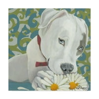Трговска марка ликовна уметност 'Dlynns Dogs Patch' Canvas Art by Dlynn Roll