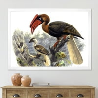 DesignArt 'Антички австралиски птици xi' Традиционална врамена уметничка печатење